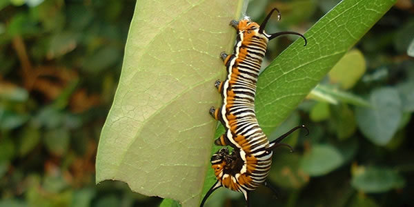 安卓ddos攻击工具